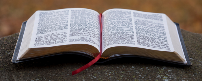 Offenes Buch mit rotem Lesezeichen im Freien